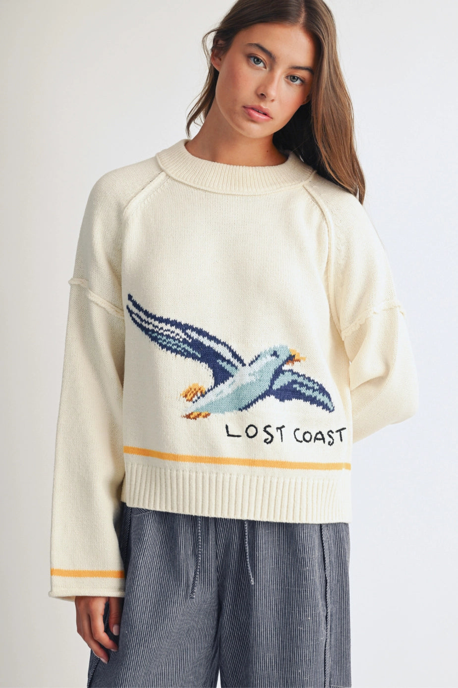 Lost Coast Seagull Graphic Sweater