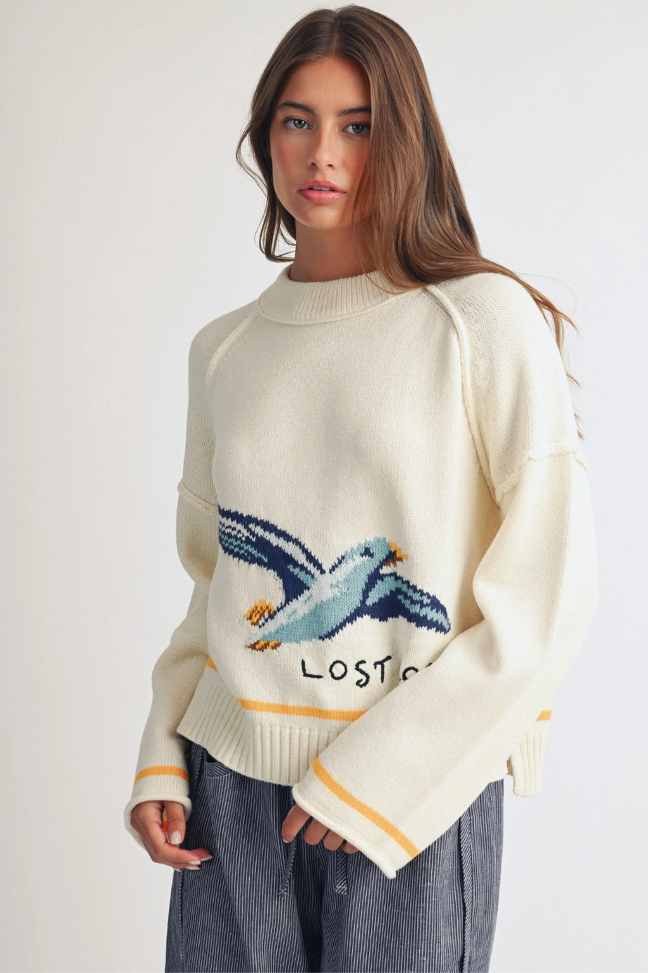 Lost Coast Seagull Graphic Sweater