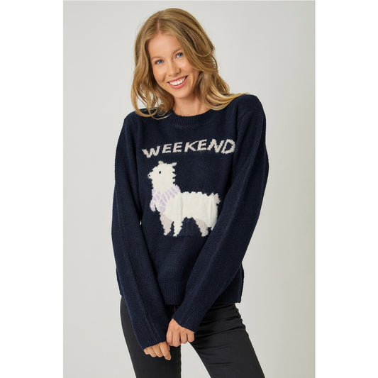 Navy Alpaca Weekend Pullover Sweater