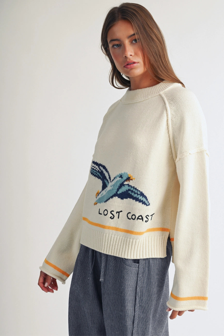 Lost Coast Seagull Graphic Sweater