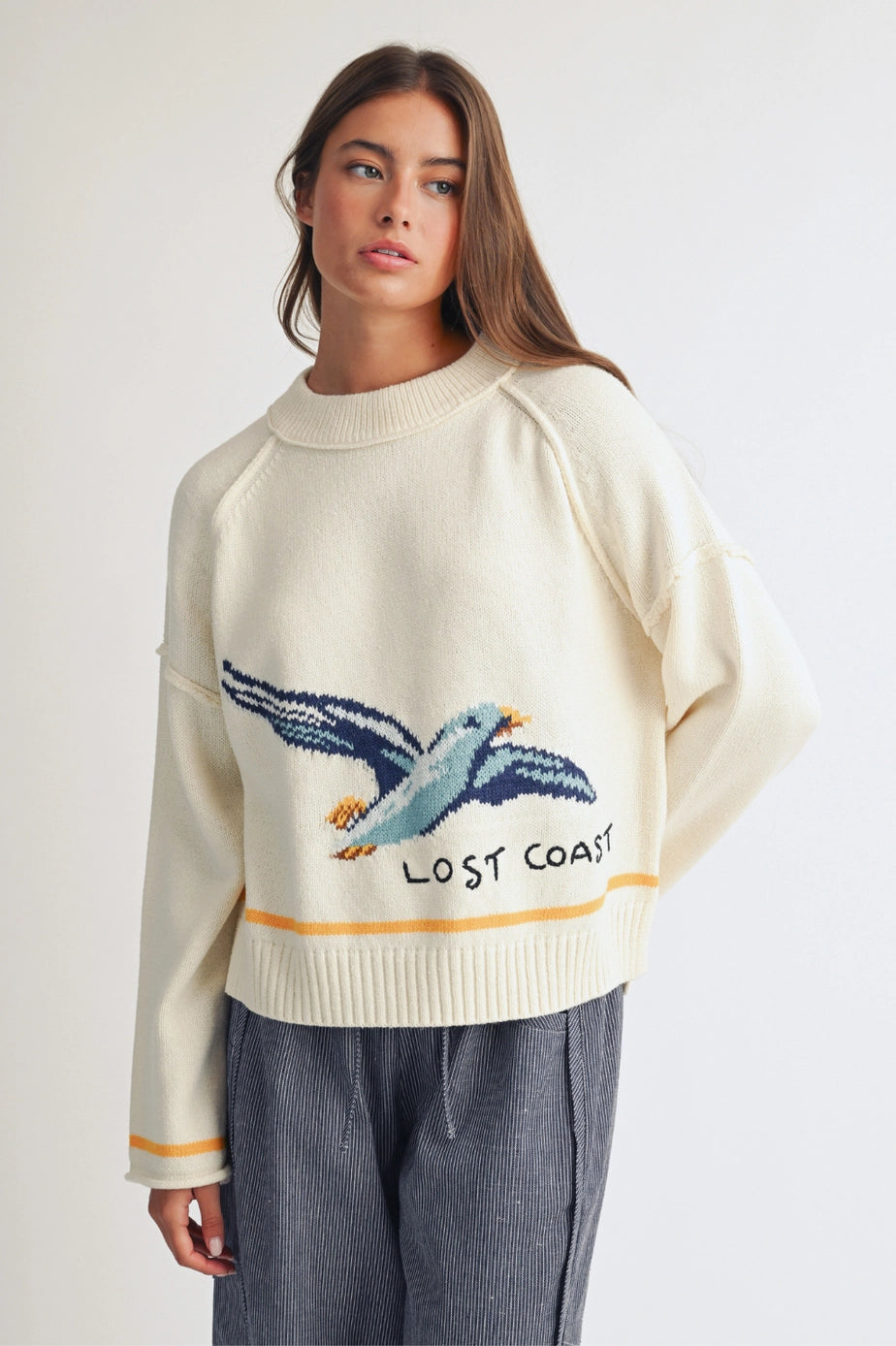 Lost Coast Seagull Graphic Sweater