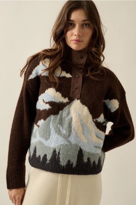 Chocolate Jacquard-Knit Landscape Quarter-Zip Pullover Sweater Jacket