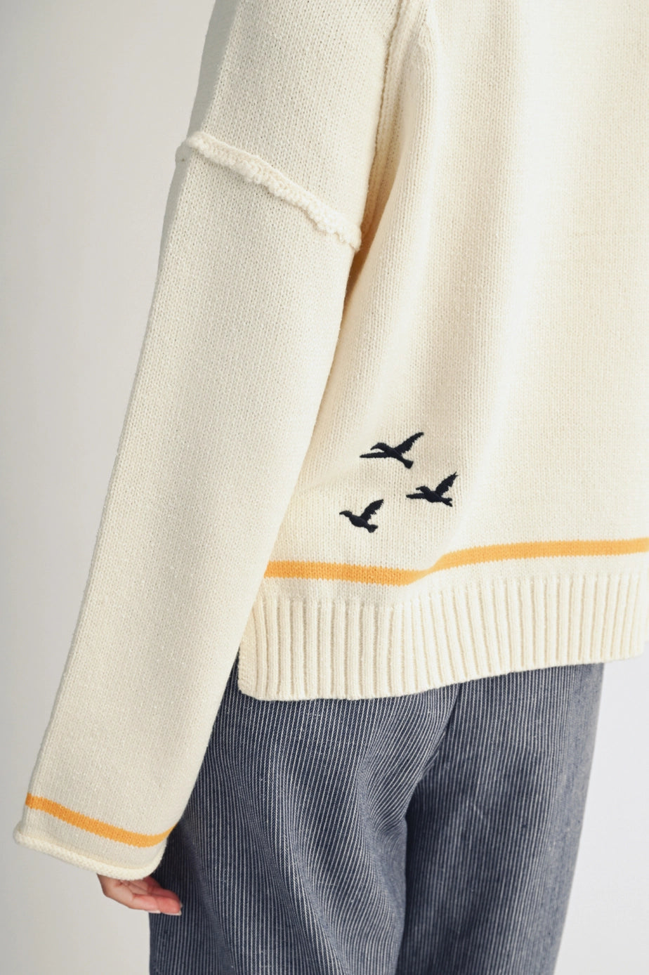 Lost Coast Seagull Graphic Sweater